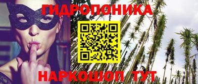 хмурый Нальчик