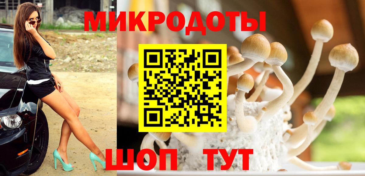 Псилоцибиновые грибы ЛСД  Вход с VPN  Галлюциногенные грибы GOLDEN TEACHER  Стрежевой 