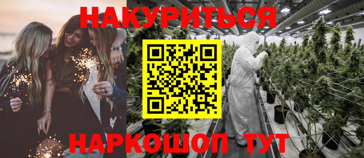 Марихуана сатива  Бошки марихуана OG Kush  Канабис сатива  Вход с VPN  Бошки Шишки планчик  Стрежевой 